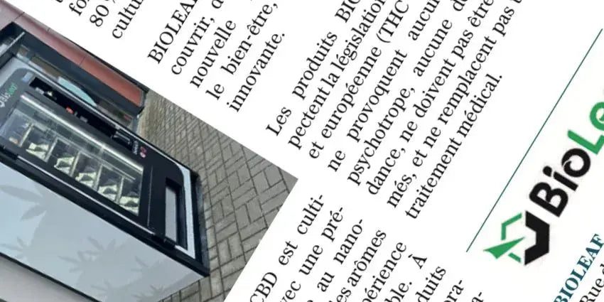 CBD Saint-Avold Valmont