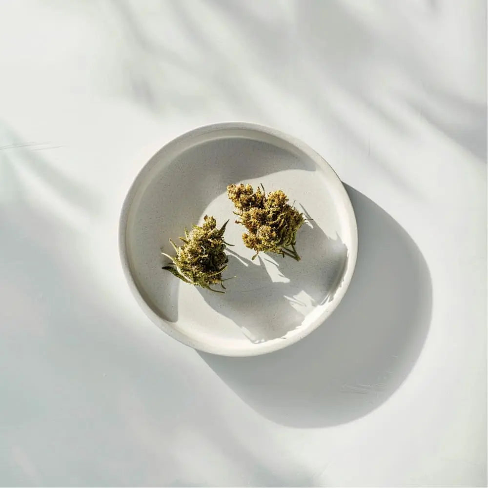 CBD-la-Cuisine-Moléculaire Yolka