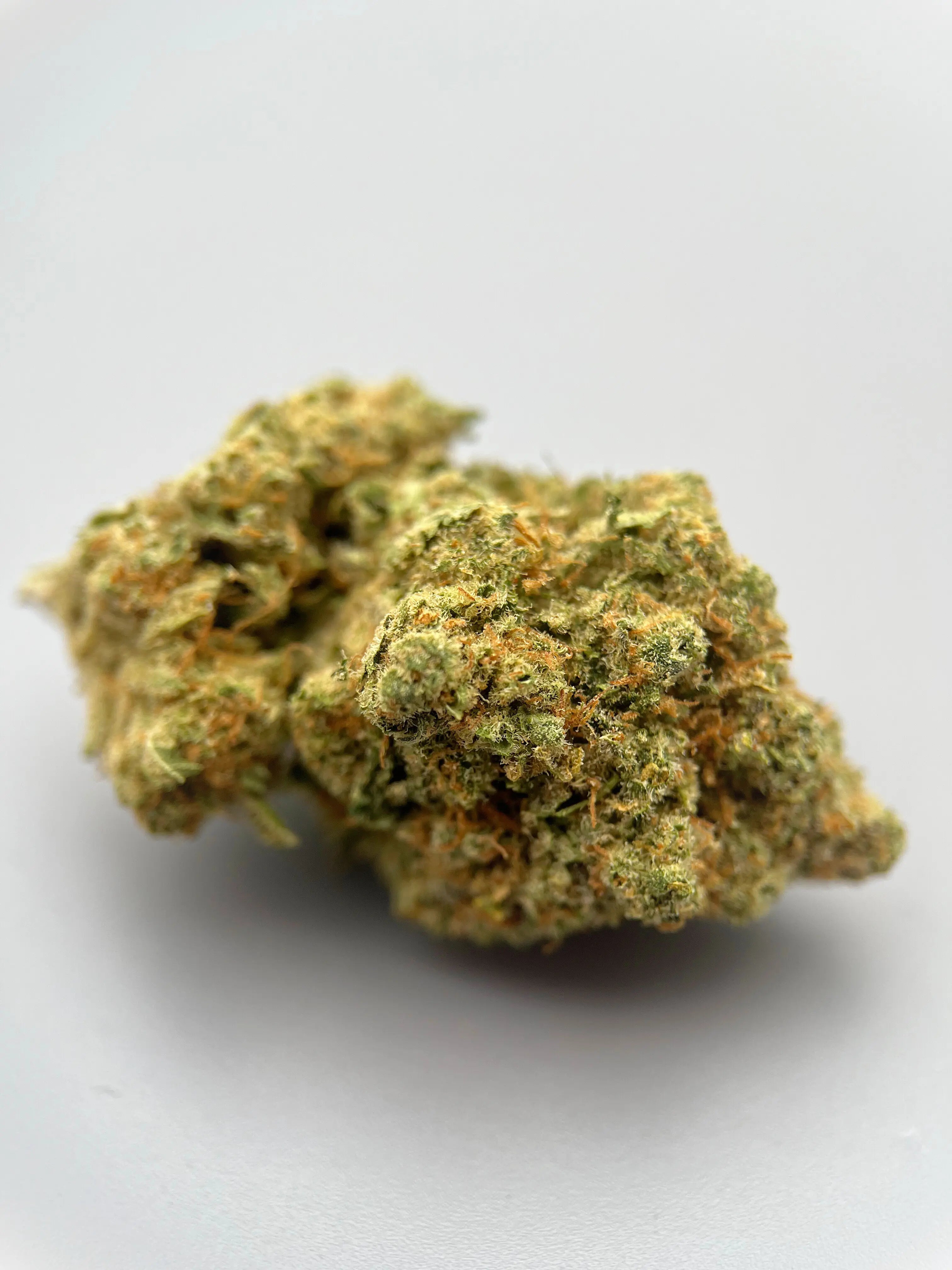 Amnesia Zeste citronné & profondeur terreuse