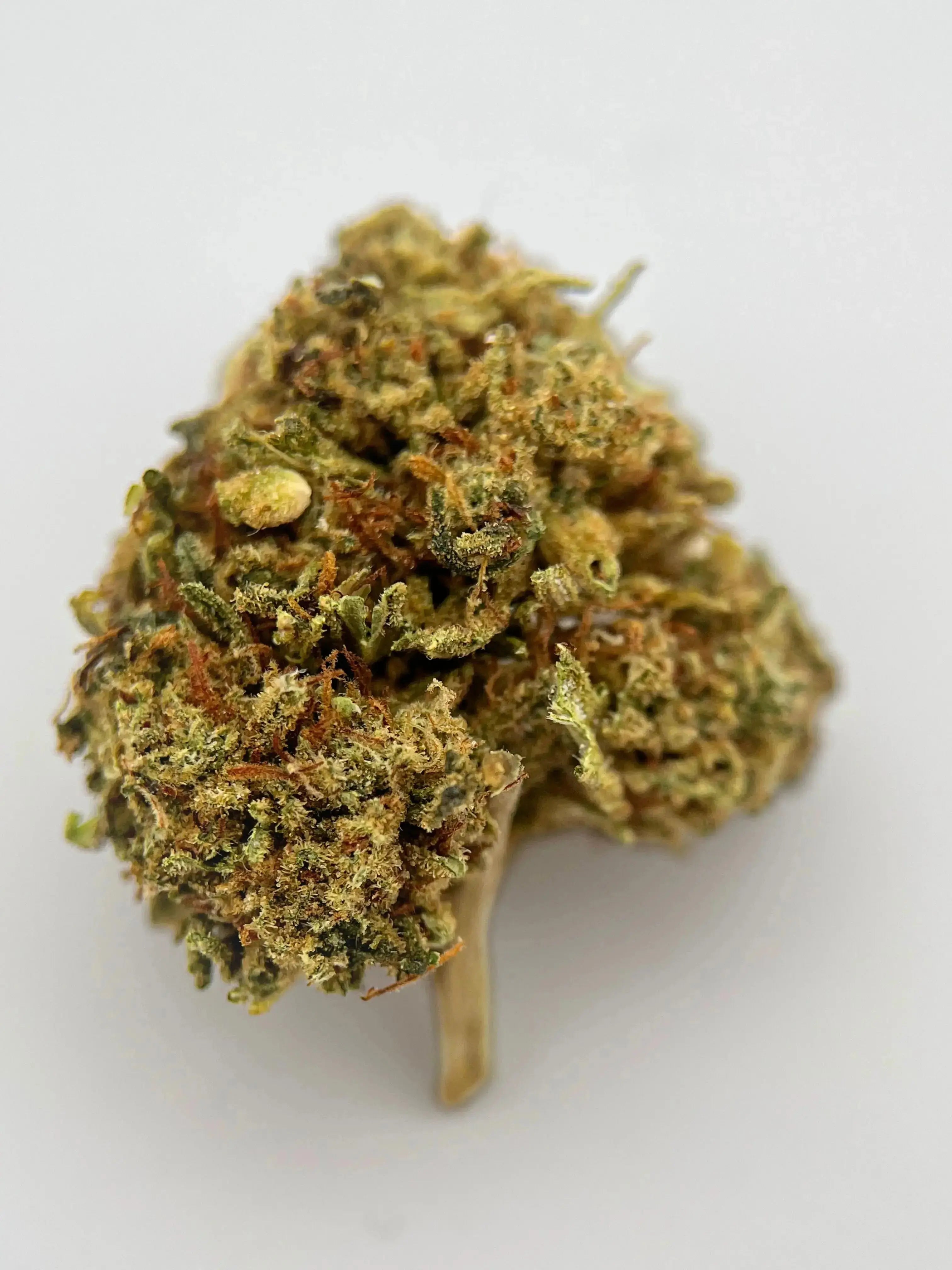 Cali Dream Yolka
