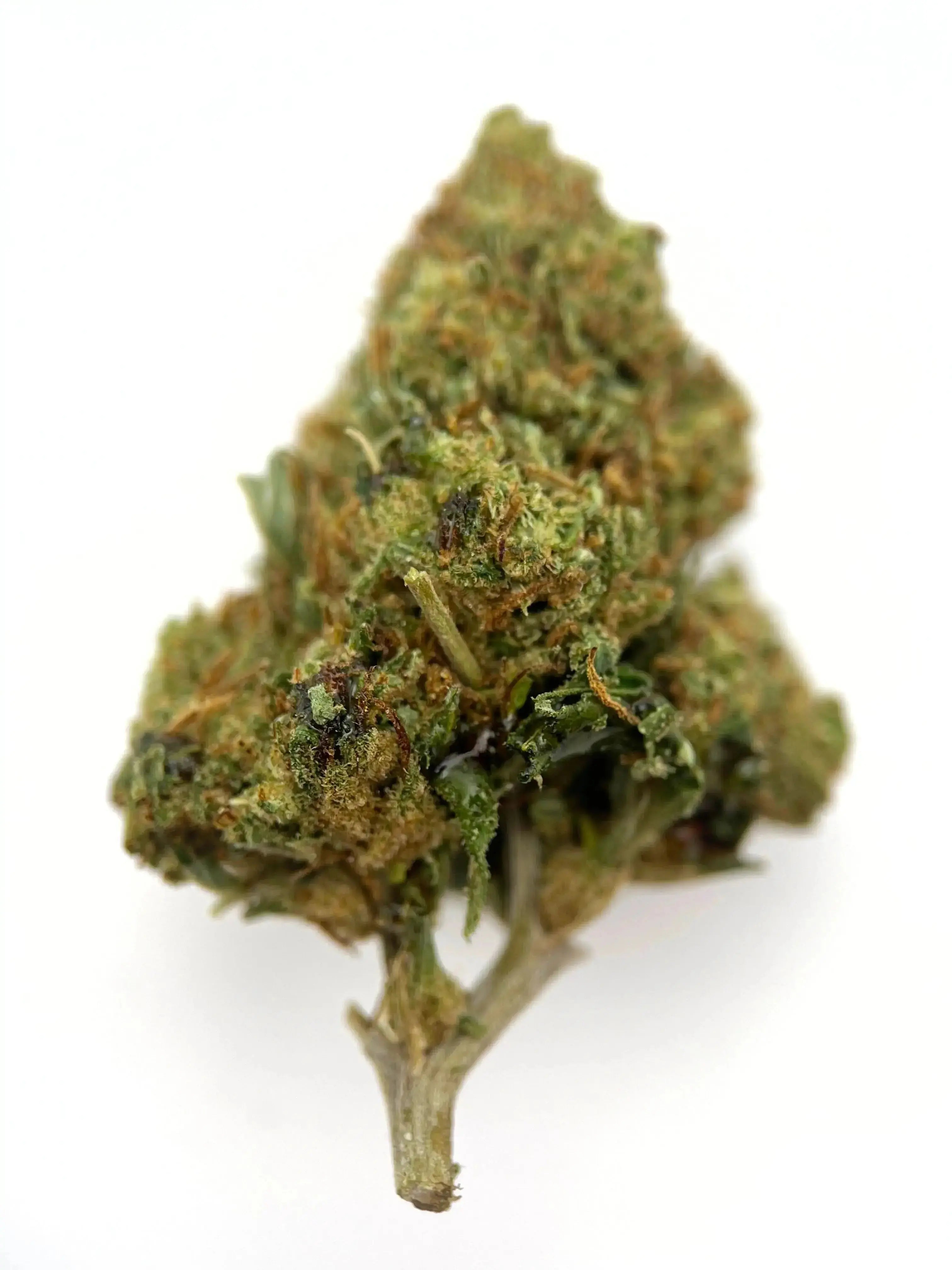Gorilla Glue Yolka