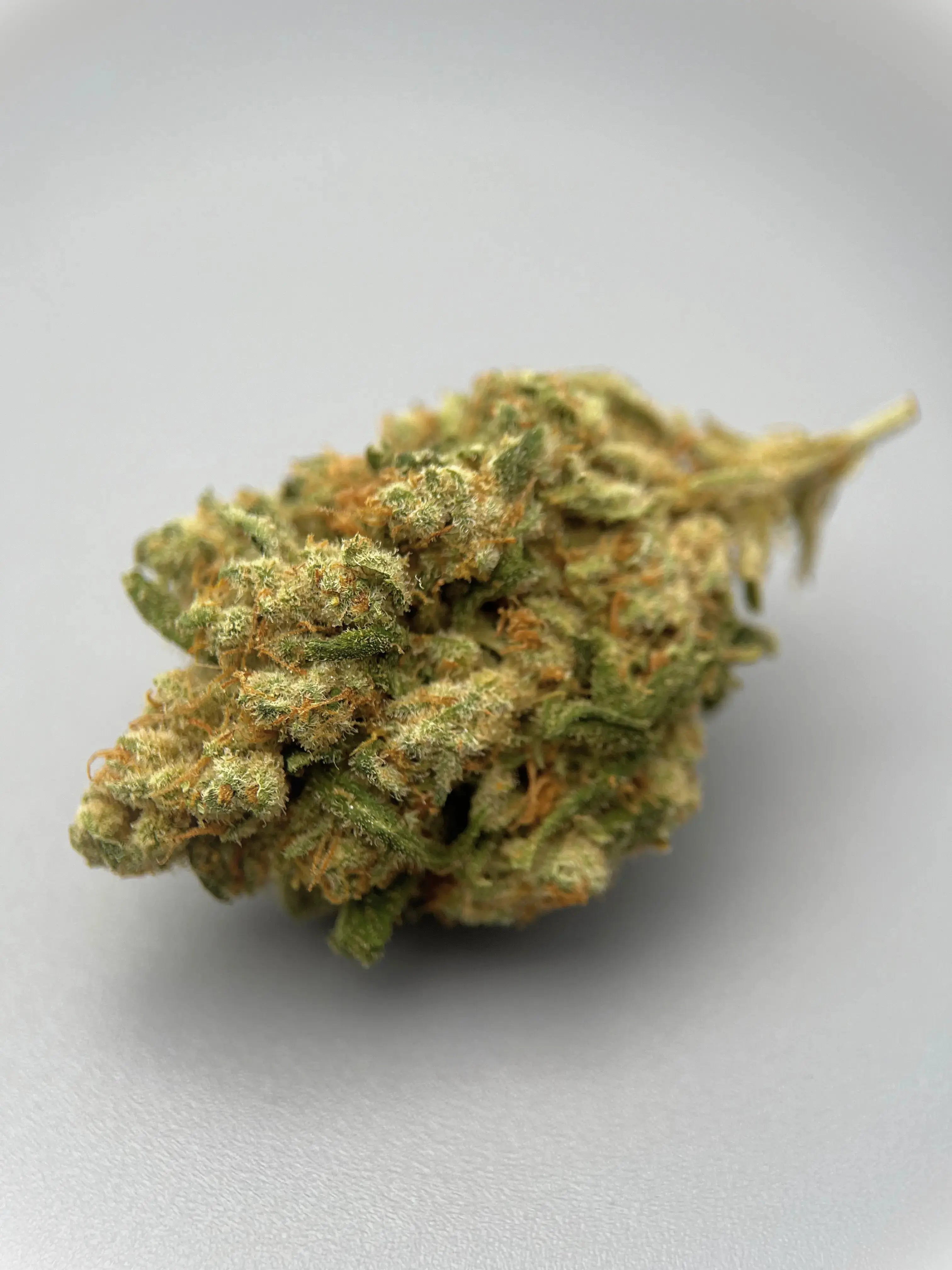 Amnesia Zeste citronné & profondeur terreuse