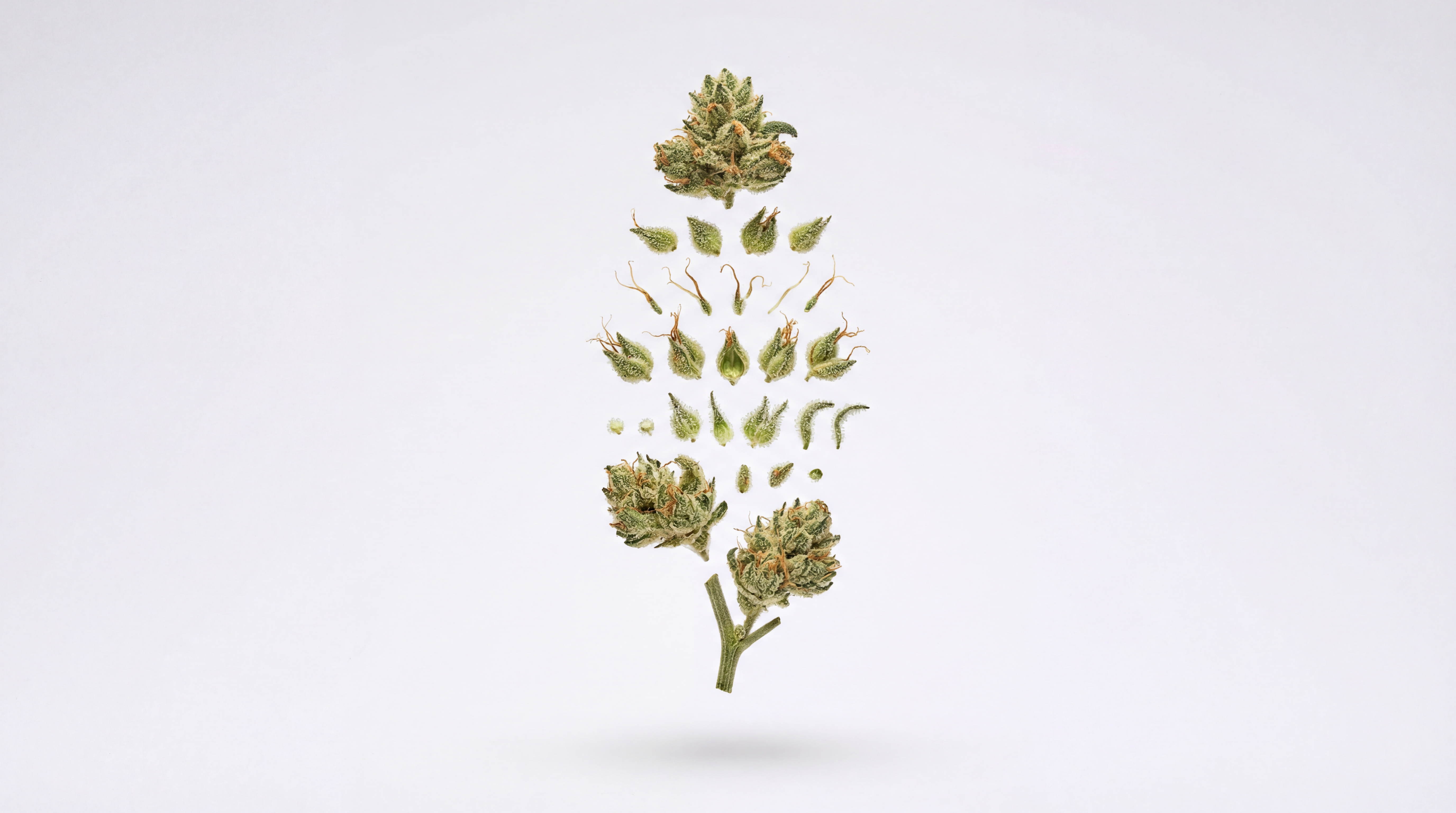 Une évolution naturelle : Vers un marché plus lisible