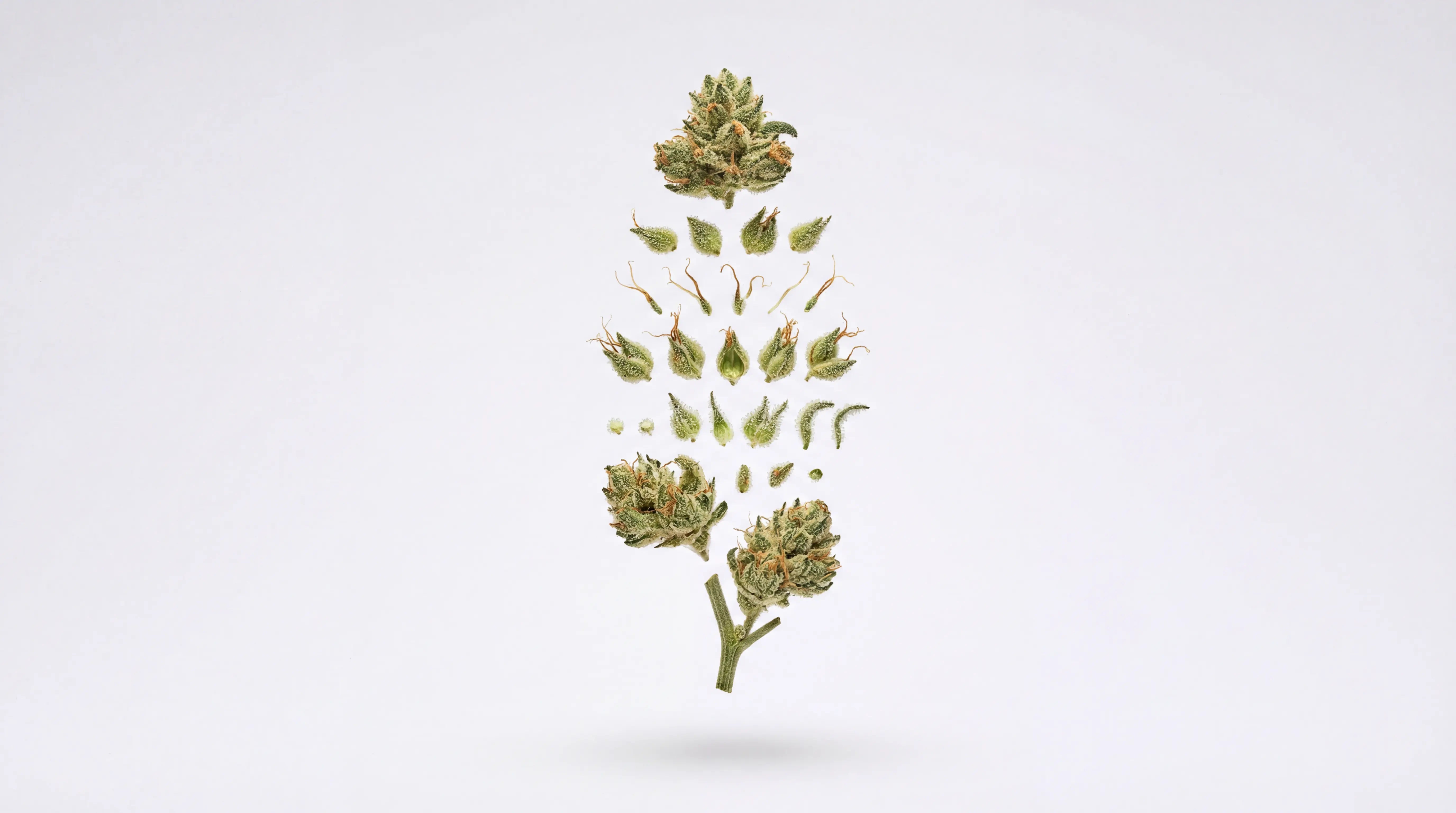 Une évolution naturelle : Vers un marché plus lisible Yolka