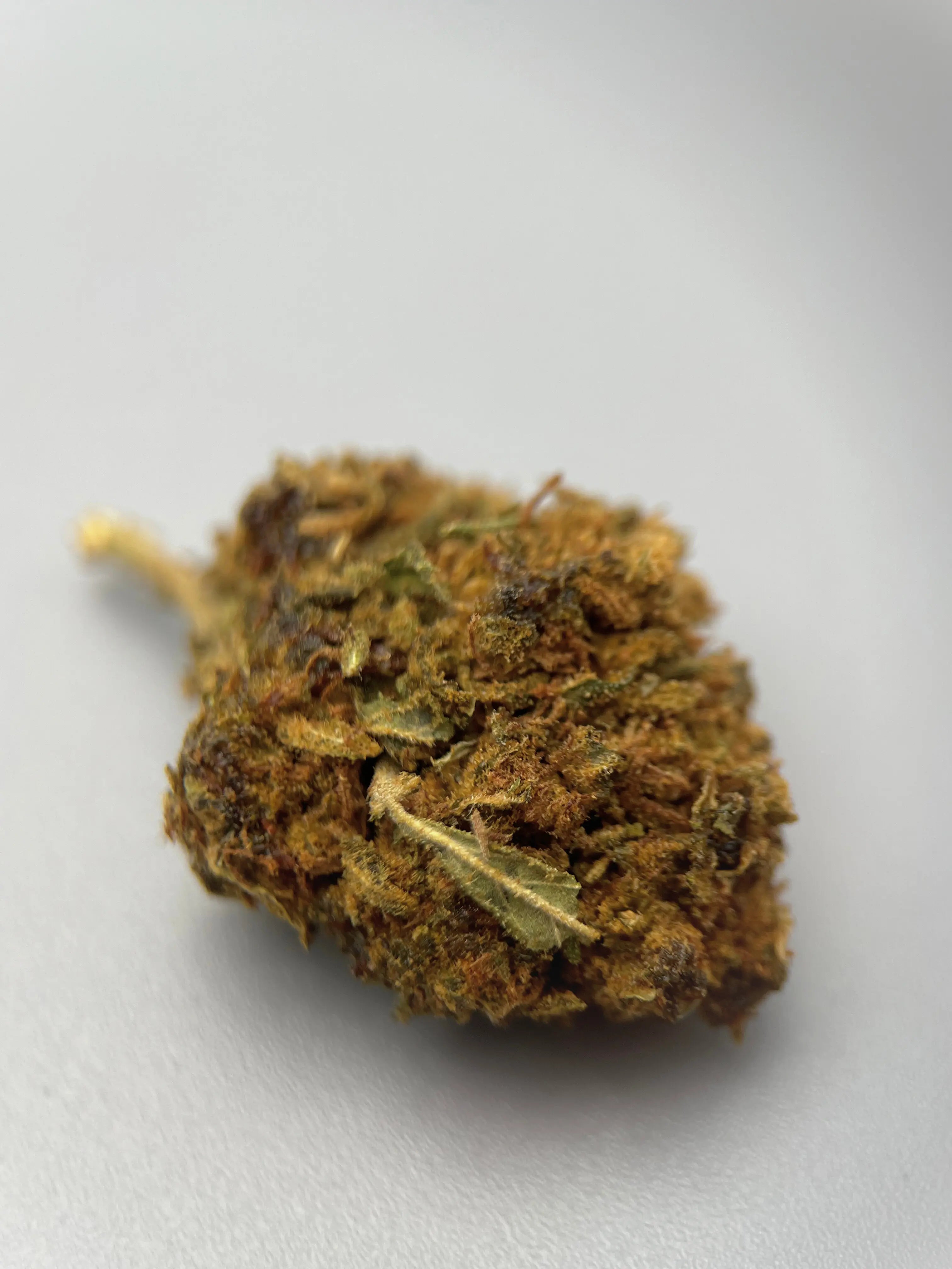 BubbleGum Bonbon rose & floral sucré