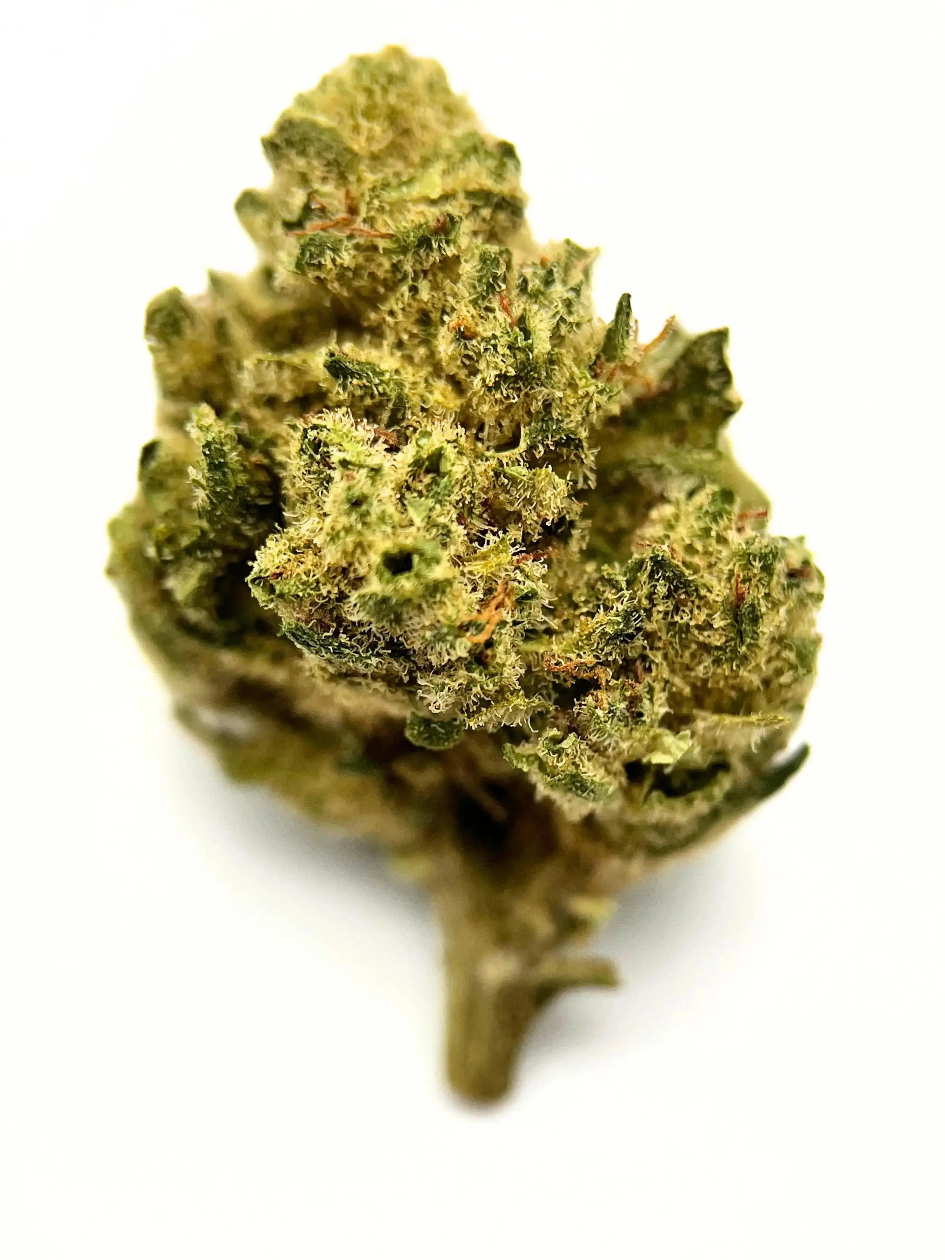White Widow Yolka