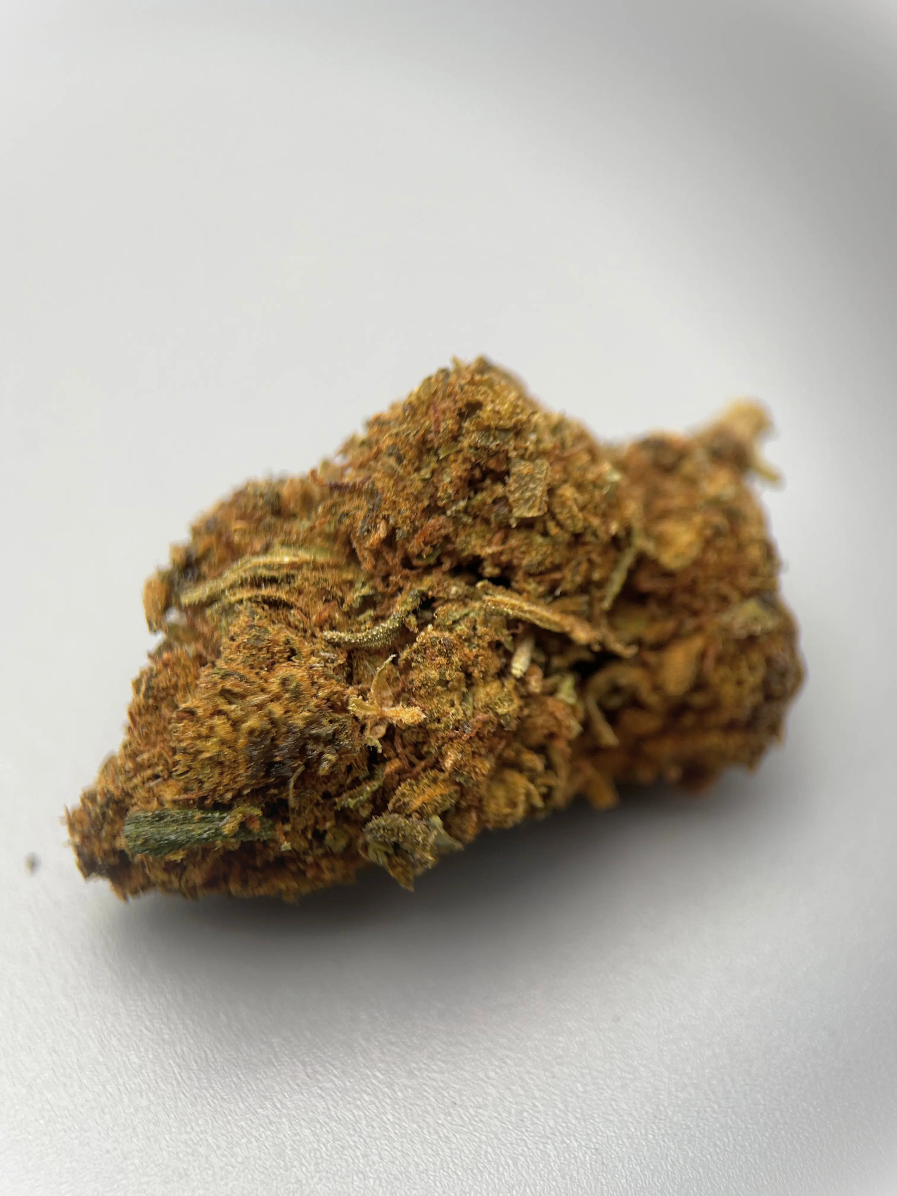 Gelato Crème vanillée & fruits sucrés